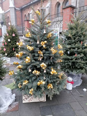 SMREČICA PEVSKEGA DRUŠTVA ZVON - JUBILANTA 130 LET