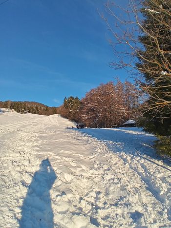 Planinsko društvo na Smokuškem vrhu