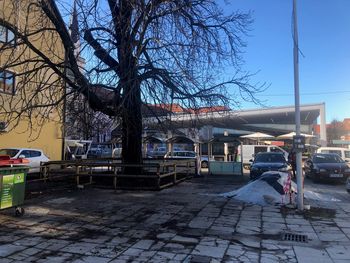Letos bomo uredili nov trg pri Mestni tržnici v Celju