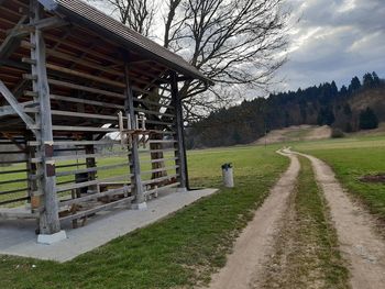 Koš za odpadke pod Sekirico