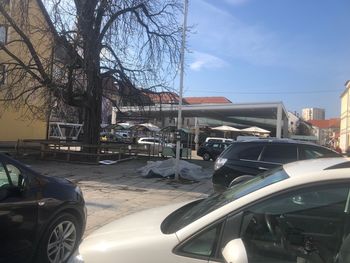 Urejanje novega trga pri Mestni tržnici v Celju