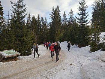 PD na Veliki planini 13.2.2022