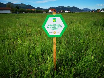 Občina Žalec sodeluje v projektu sajenja medovitih rastlin