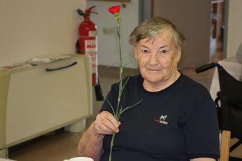 Iskrena čestitka