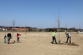 V Parku drevesCE raste 118 dreves, ki jih je mestu podarilo 112 donatorjev