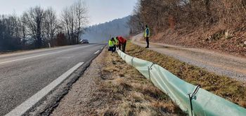 Pozor, žabe in druge dvoživke na cesti, izšla pa je tudi druga številka novičnika Regljač