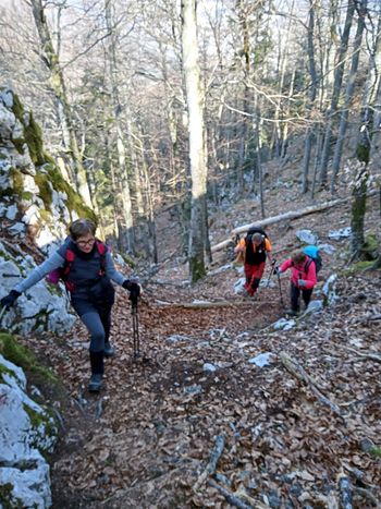 FOTOREPORTAŽA : PD po vrhovih Stojne nad Kočevjem  20.3.2022