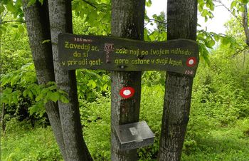Pojdimo s Planinskim društvom Horjul v Avstrijo nad 3000 m