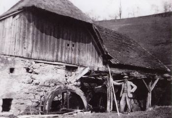 Življenje ob vodi
