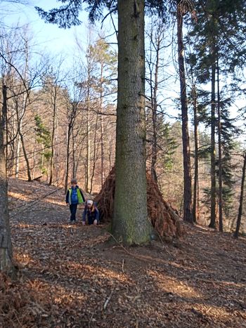 Mladi planinci PD na Gradišču in Žabi  26.3.2026