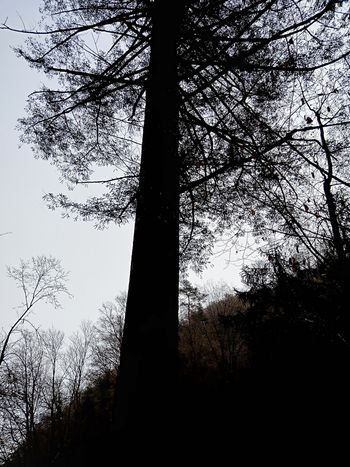 PD po vrhovih okoli Celjske koče 3.4.2022