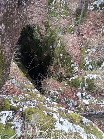 Veterani PD od Kršičevca do Mašuna 7.4.2022