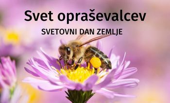 Svet opraševalcev