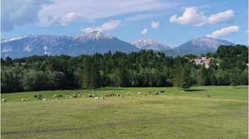 Krožni pohodi na priljubljene točke v okolici Radovljice