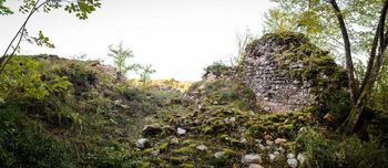 Pot na grad Kozje/Drachenburg