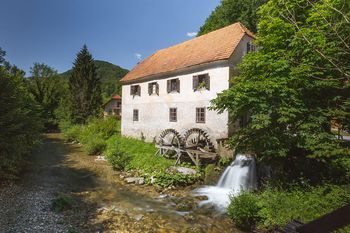 Plištanj z okolico