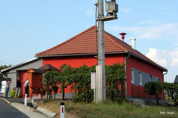 Sprehod po Kukeču z zeliščarjem Lovrom Vehovarjem