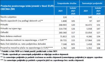 POSLOVANJE POSLOVNIH SUBJEKTOV V OBČINI ŽIRI V LETU 2021