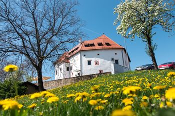 Grad Komenda