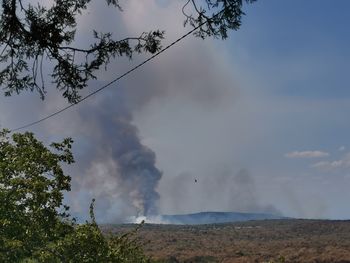 Zaradi požara opustošenih 3600 hektarjev zemljišč