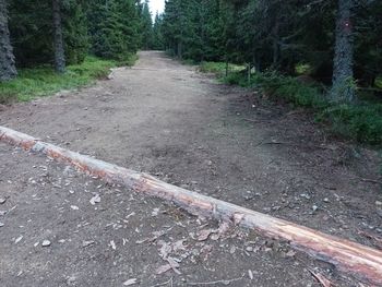 Dokočana je sanacija gozdne vlake na trasi priljubljene planinske poti na Pohorju