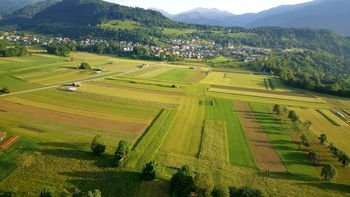 Prijava posledic suše 2022