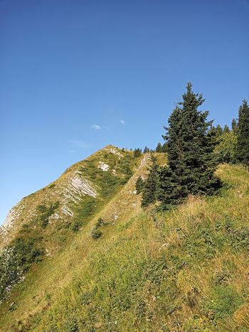 PD na Krevlu, Črni prsti in Licscu 31.7.2022