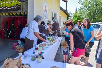 Predavanje in delavnica z naslovom Prehrana – pot k zdravju in dobremu počutju