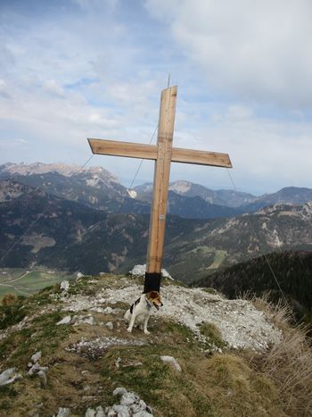 Planinski izlet na Goli vrh 16.10.2022