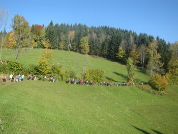 Tradicionalni 40. pohod okoli Žirov Tradicionalni 40. pohod okoli Žirov