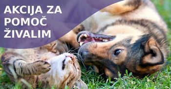 Dobrodelna akcija za pomoč živalim