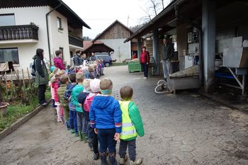 Obisk sadjarstva Janša