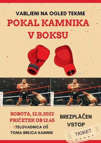 POKAL KAMNIKA V BOKSU - boksarski spektakel