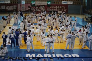 Judo pokal Iršič