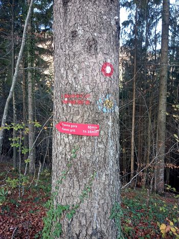 Veterani PD na Travni Gori in Kamnem griču  2.11.2022