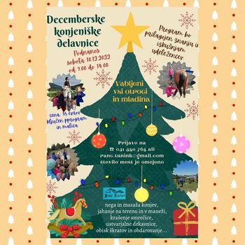 Decembrske konjeniške delavnice na Ranču Tunink 