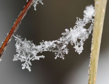 Otroška delavnica: Čarobni ledeni kristali