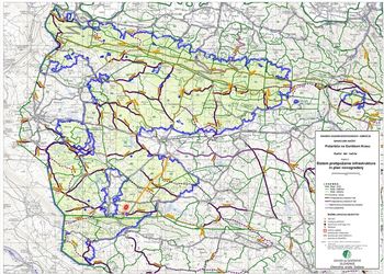 Podaljšana javna obravnava Načrta sanacije poškodovanih gozdov v požaru na Goriškem Krasu