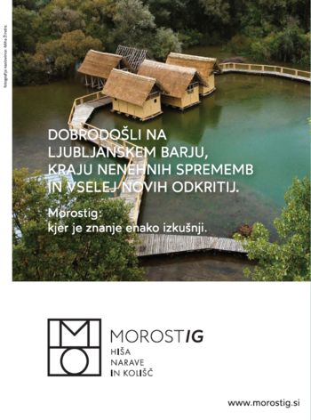 Ta vikend promocijski ogled Morostiga