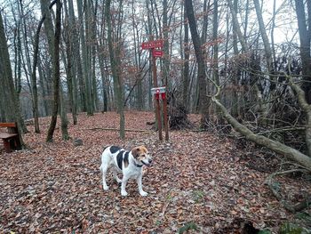 Pohod po Pentlji – 29.1.2023 (prvi del)