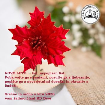 SREČNO IN SRČNO V LETU 2023