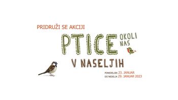 Ptice okoli nas 