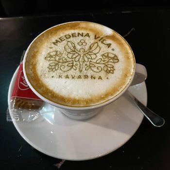 Kavarna Medena Vila v Čebelarskem centru v Lescah