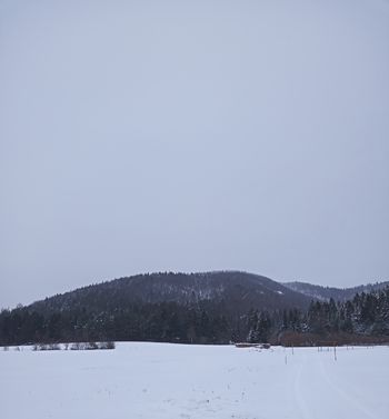 Pohod s planinskim društvom na Slivnico 22.1.2023