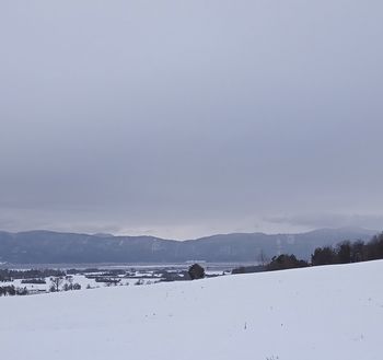 Pohod s planinskim društvom na Slivnico 22.1.2023