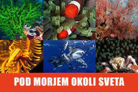 Potopisno predavanje Pod morjem okoli sveta - Andrej Voje