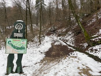 Sanacija polomljenih dreves na Srčni poti nad Mestnim parkom