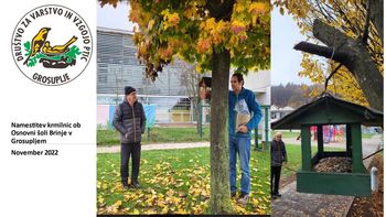 Namestitev krmilnic ob Osnovni šoli Brinje v Grosupljem Namestitev krmilnic ob Osnovni šoli Brinje v Grosupljem
