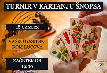 Turnir v kartanju šnopsa