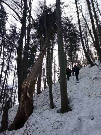20. Zimski pohod na Mrzlico